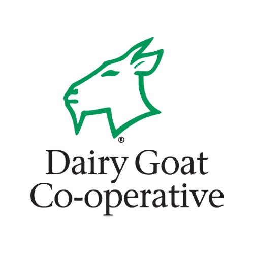 dayri goat square 1